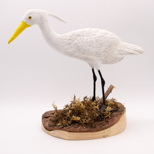 Aigrette à bec jaune