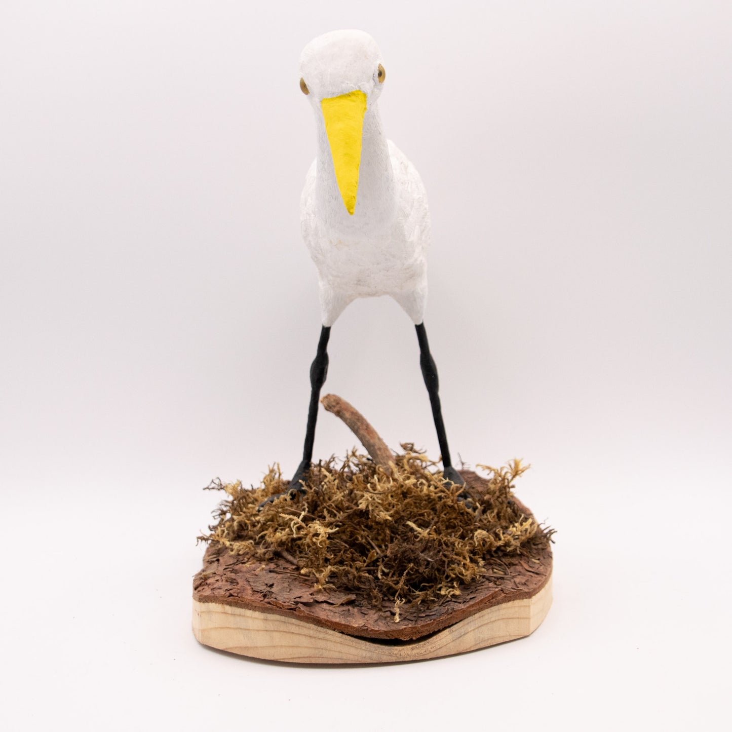 Aigrette à bec jaune