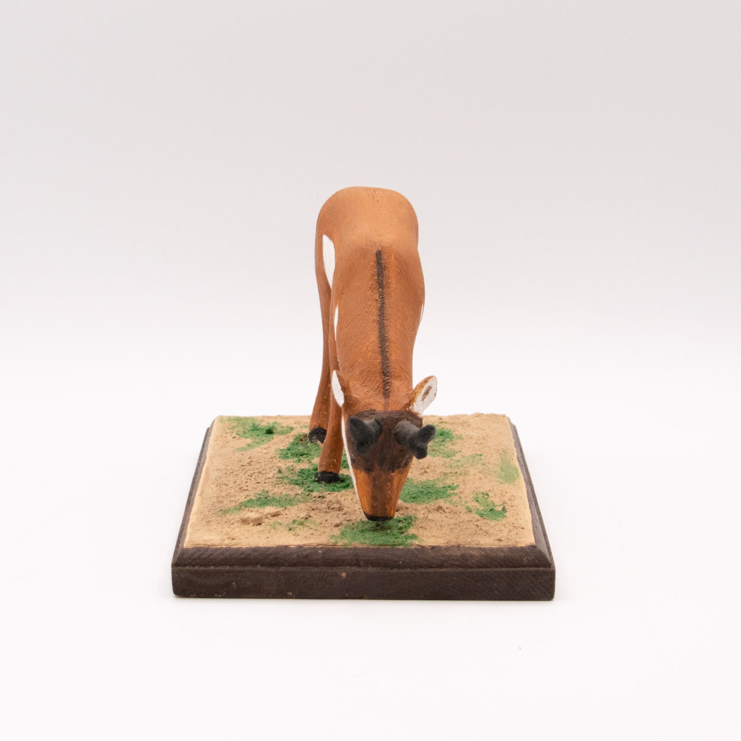 Antilope d'Amérique