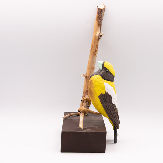 Chardonneret élégant