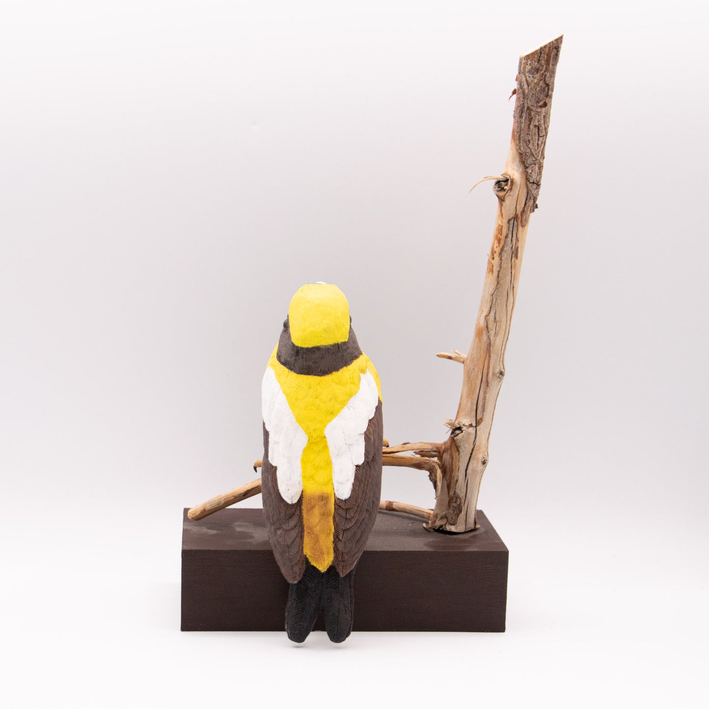 Chardonneret élégant