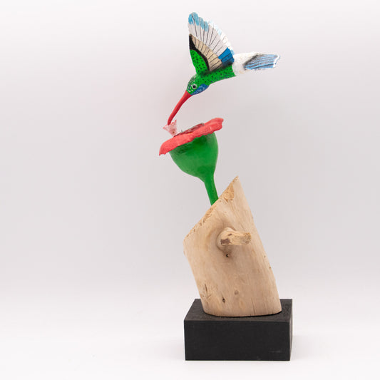 Colibri sur fleur rouge