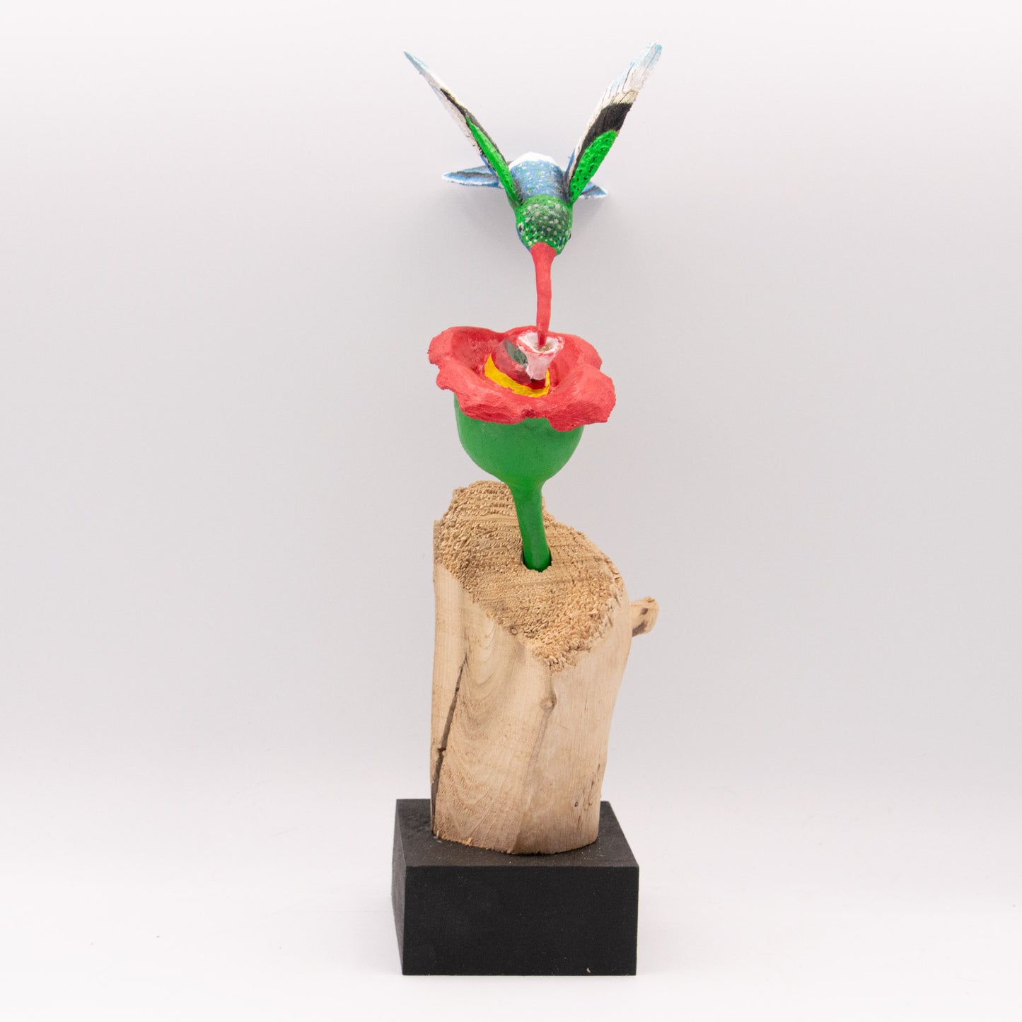 Colibri sur fleur rouge