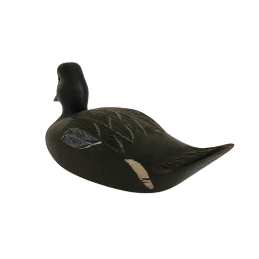 Canard noir