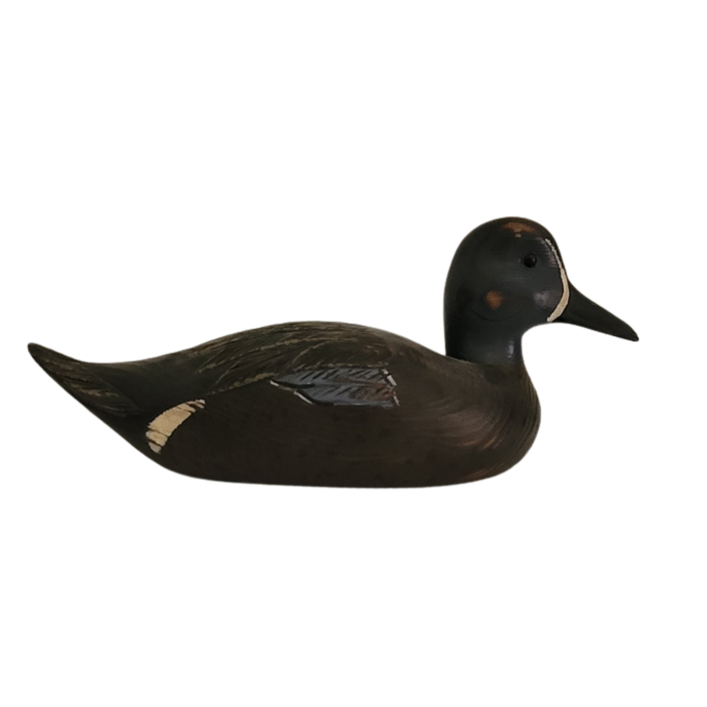 Canard noir