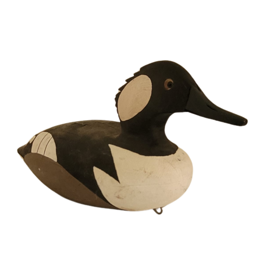 Canard noir et blanc