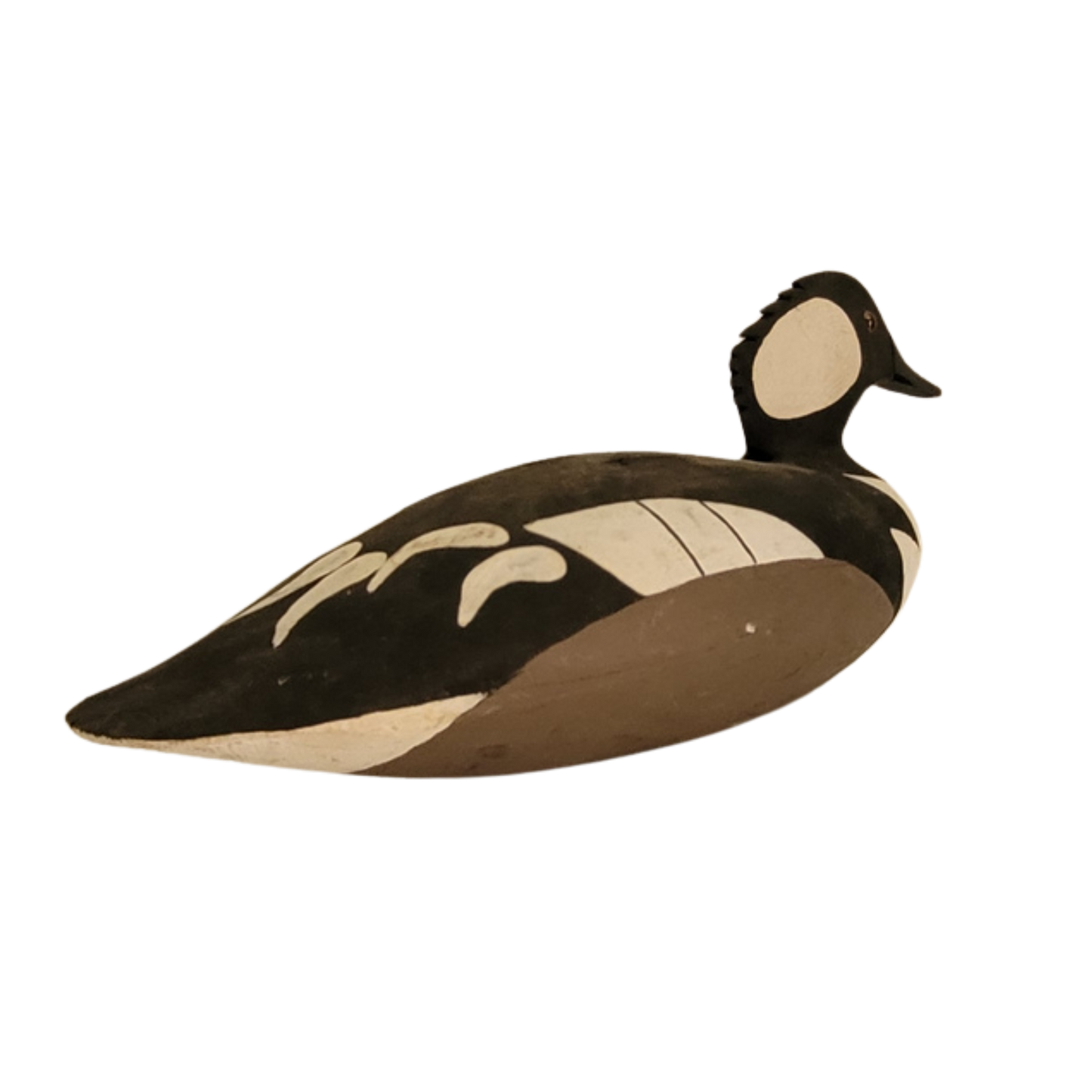 Canard noir et blanc
