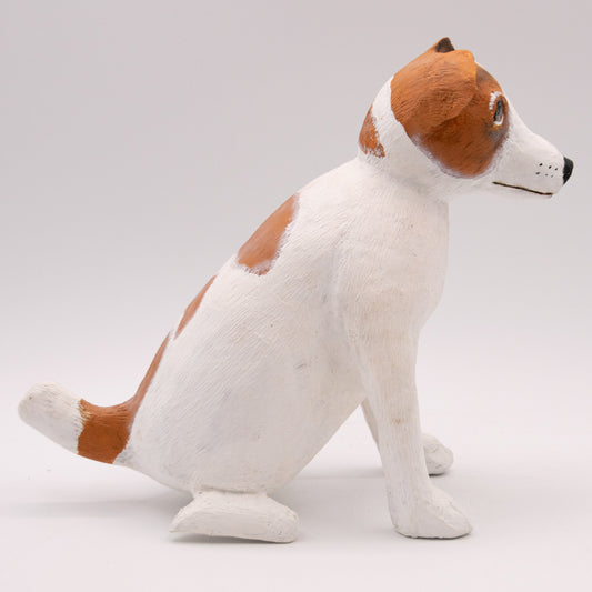 Jack Russell Terrier