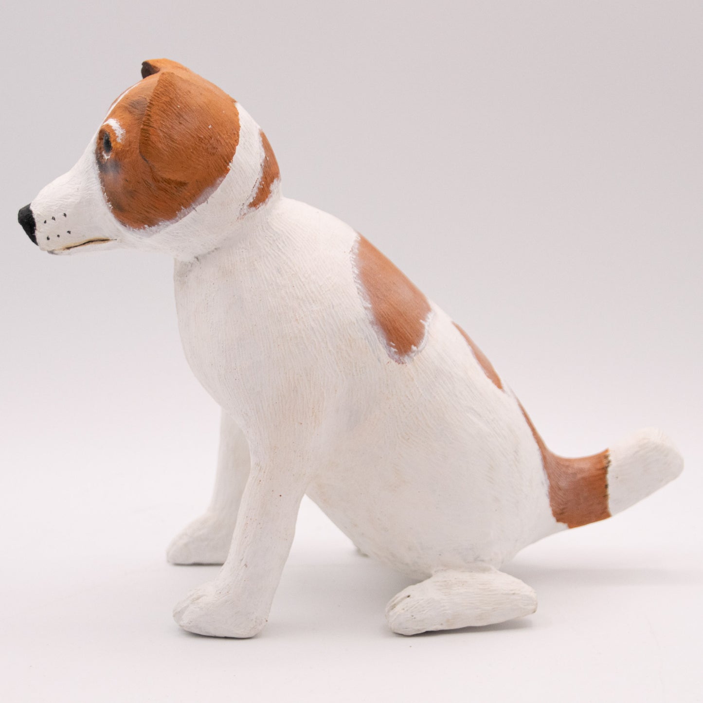 Jack Russell Terrier