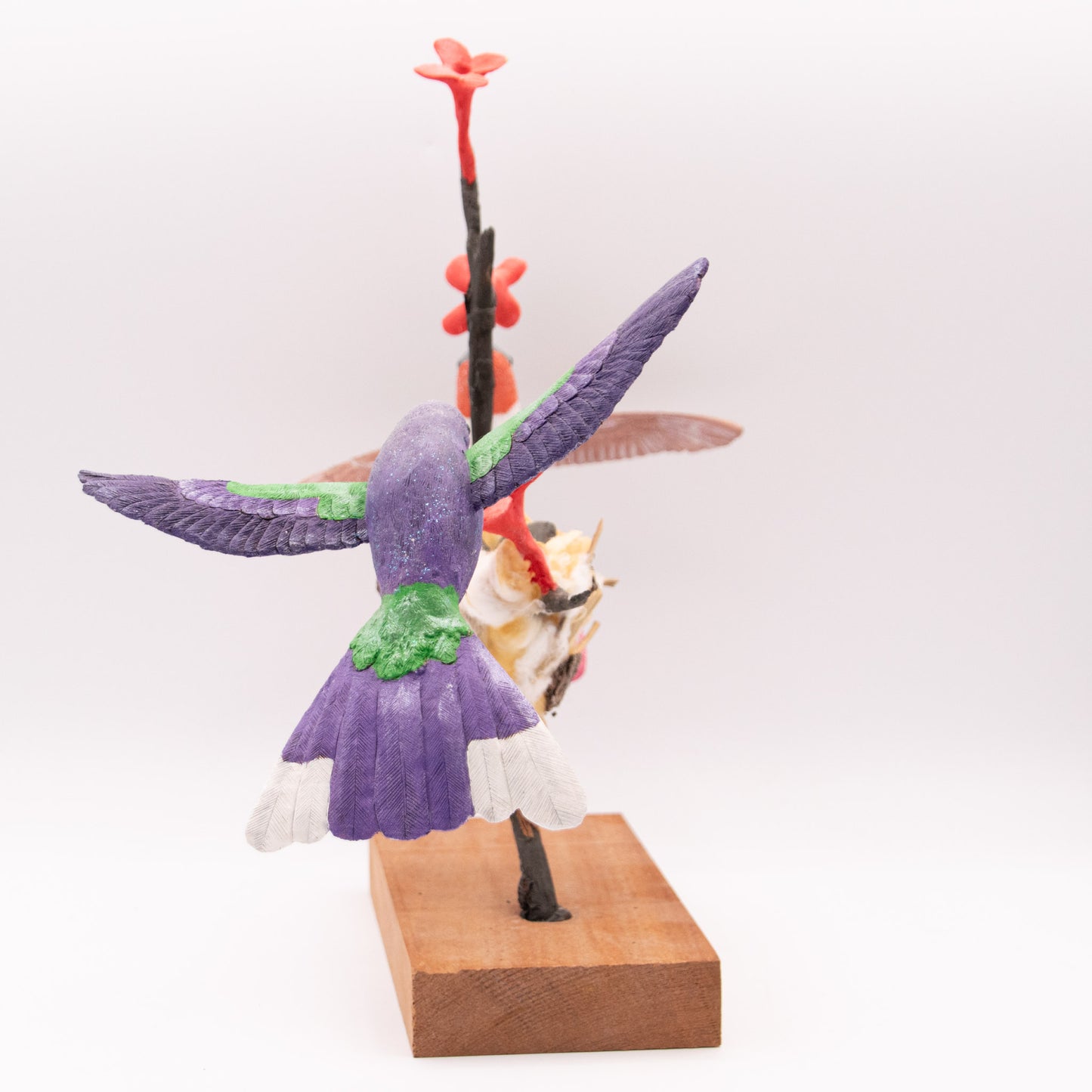 Les deux petits Colibris