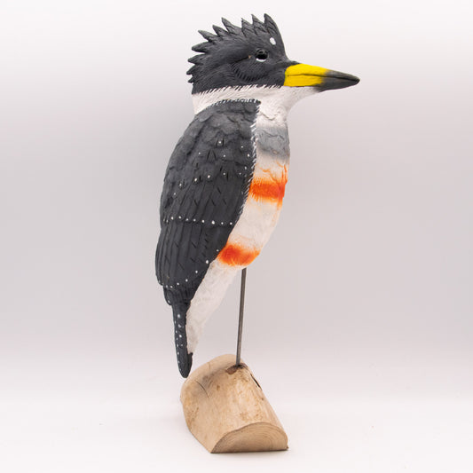 Martin-Pêcheur cintré