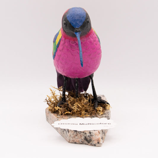 Oiseau multicolore