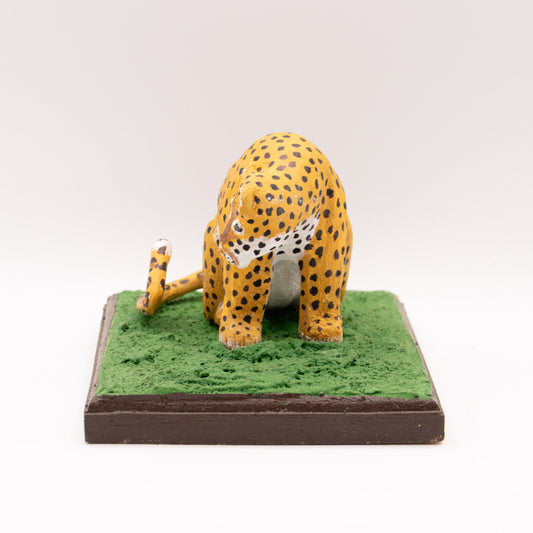 Panthere de forêt léopard