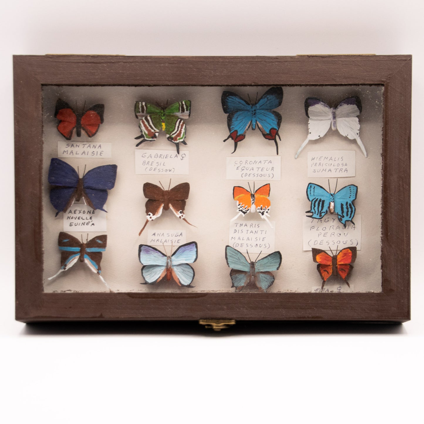 Papillons de la famille Lycaenidae