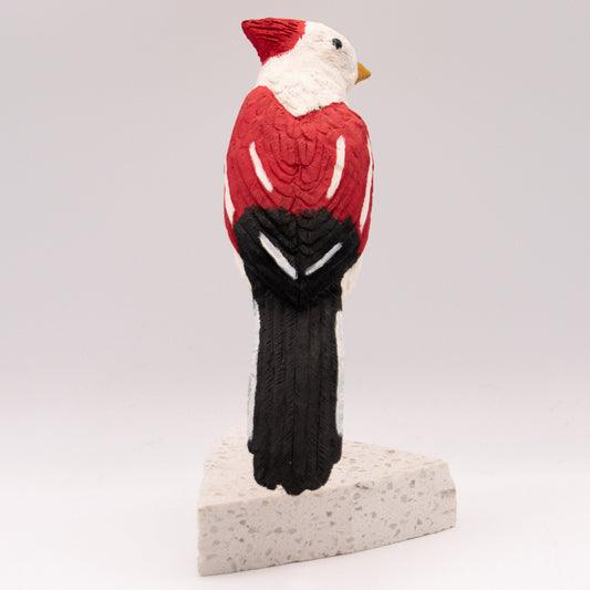 Pygargue à tête blanche (bald eagle)