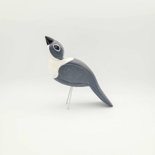 Oiseau gris et blanc