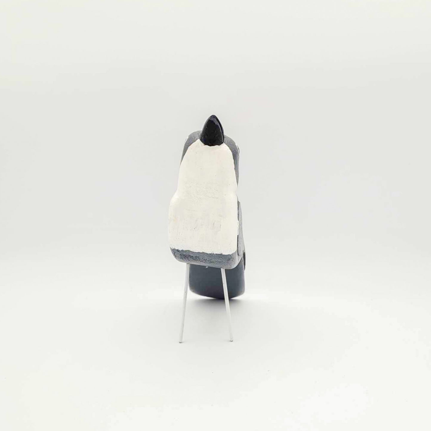 Oiseau gris et blanc