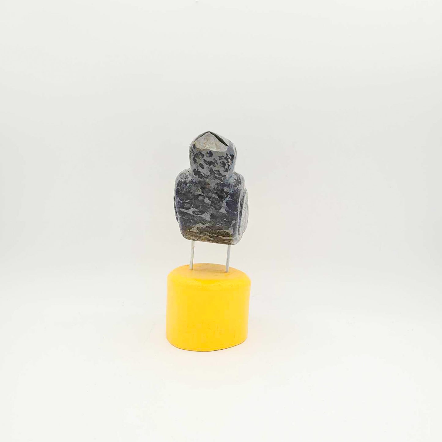 Oiseau gris sur socle jaune