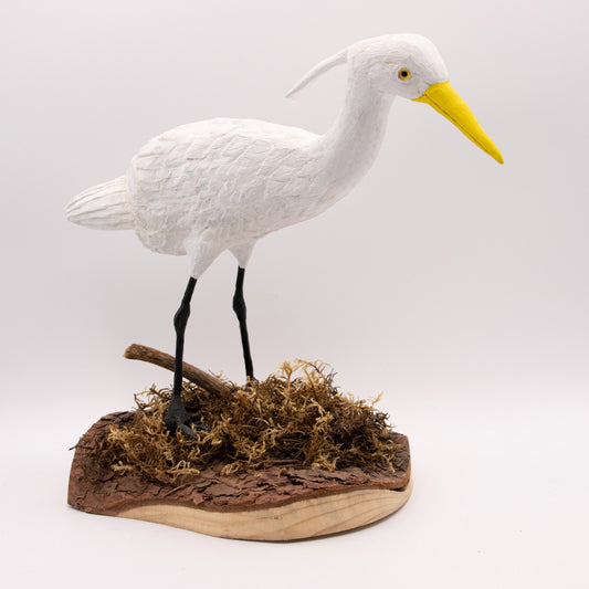 Aigrette à bec jaune