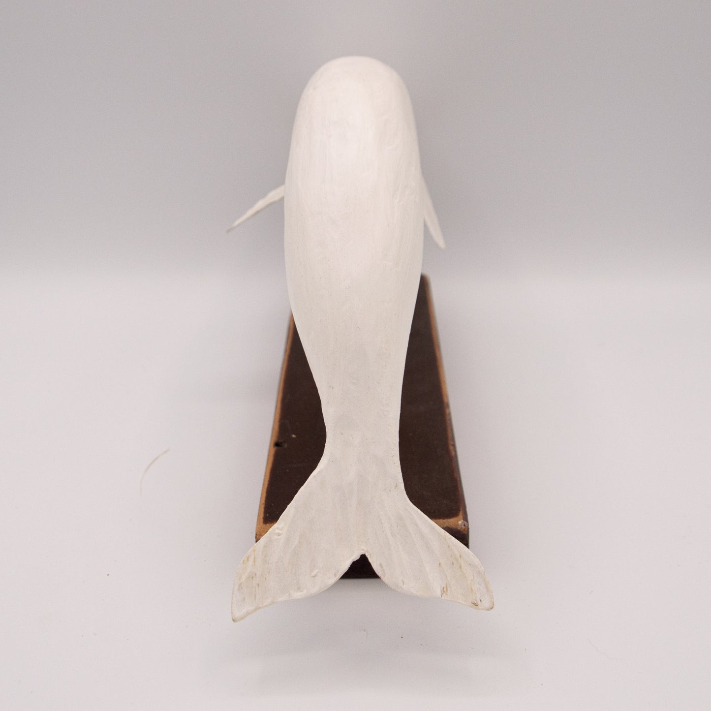 Beluga