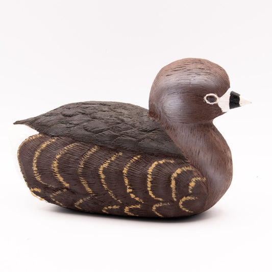 Canard