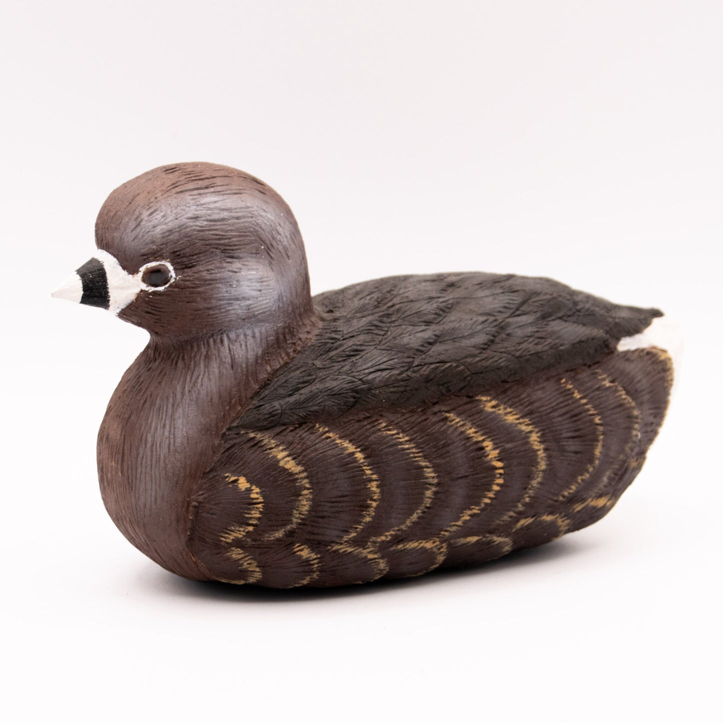 Canard