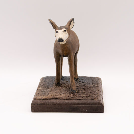 Cerf mulet