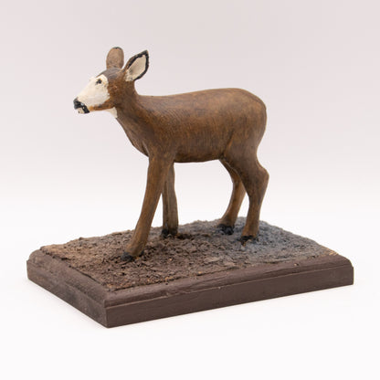 Cerf mulet