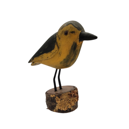 oiseau jaune et vert 1