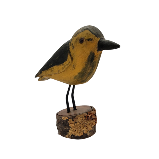 oiseau jaune et vert 1