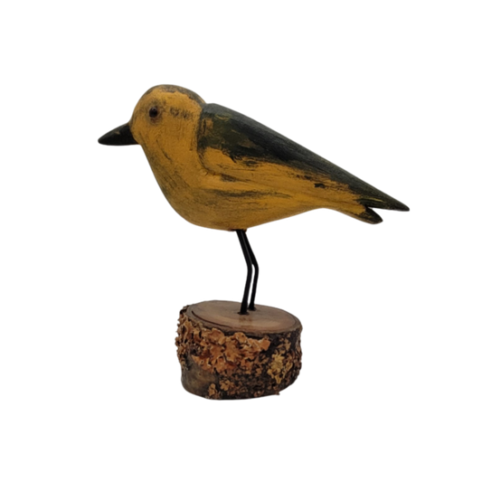 oiseau jaune et vert 1