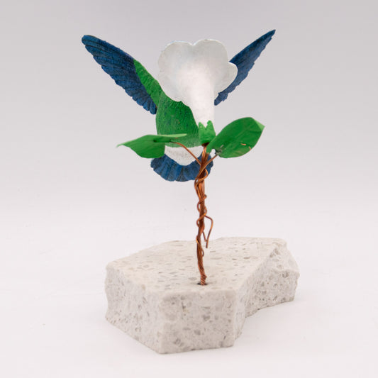 Colibri