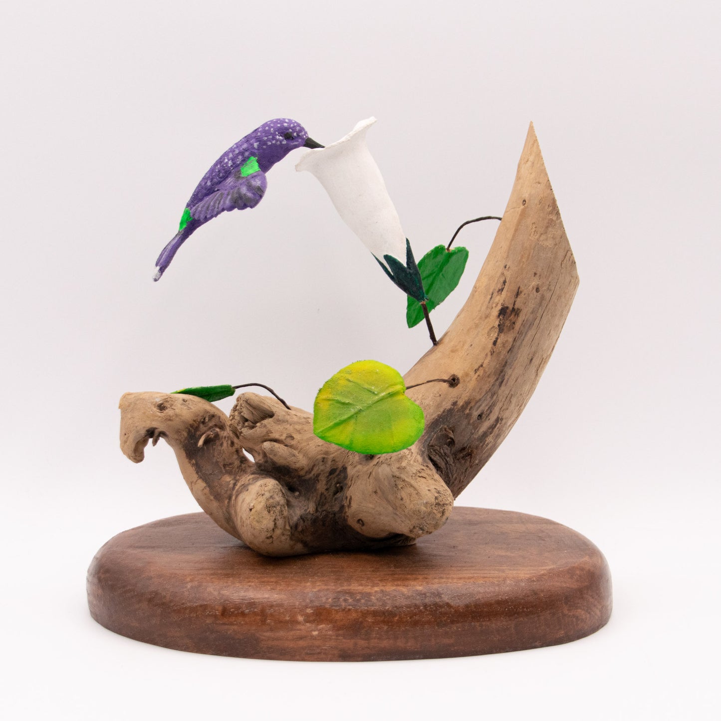 Colibri mauve