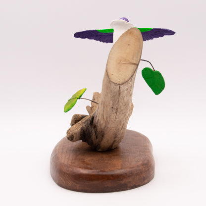 Colibri mauve