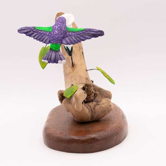 Colibri mauve