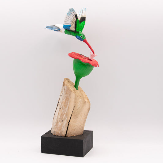 Colibri sur fleur rouge