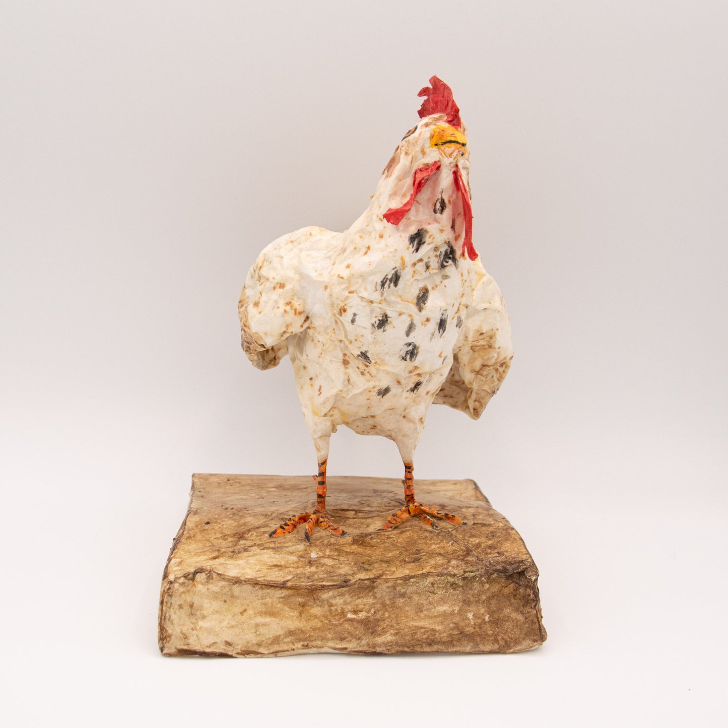 Coq blanc