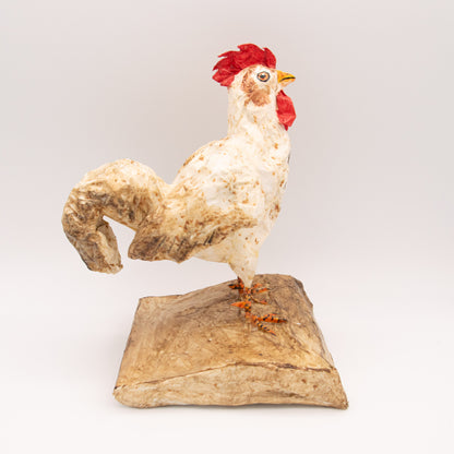 Coq blanc