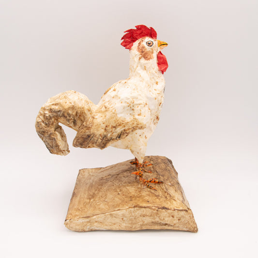 Coq blanc
