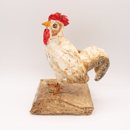 Coq blanc