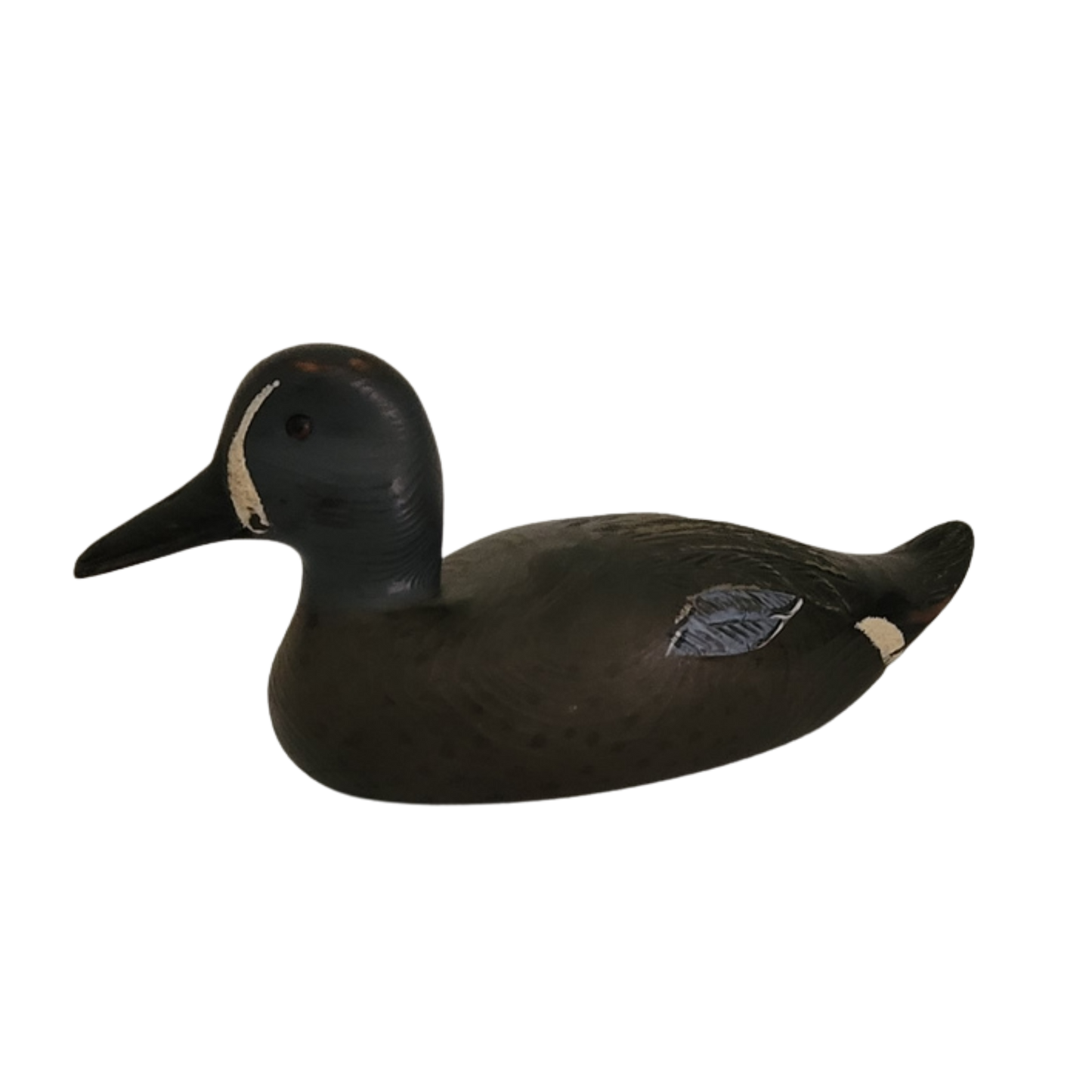 Canard noir