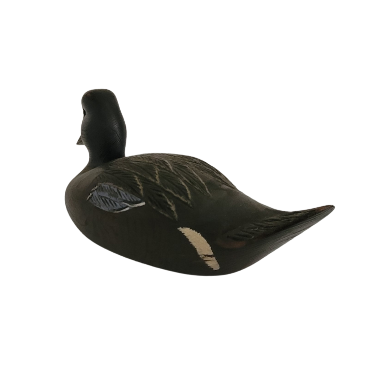 Canard noir
