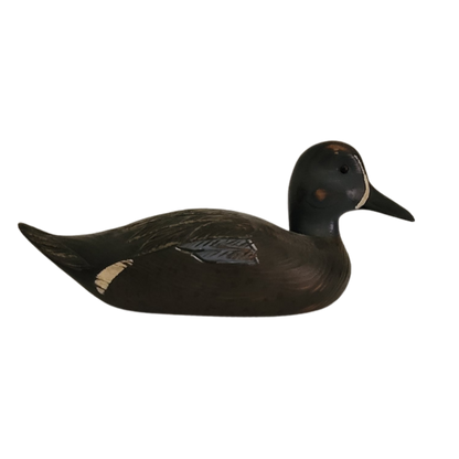 Canard noir