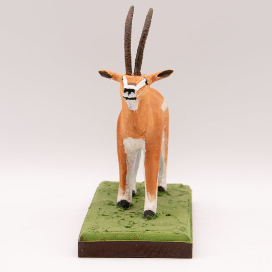 Gazelle de Grant