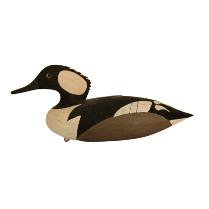 Canard noir et blanc