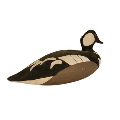 Canard noir et blanc