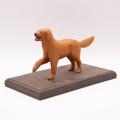 Golden retriver