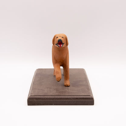 Golden retriver
