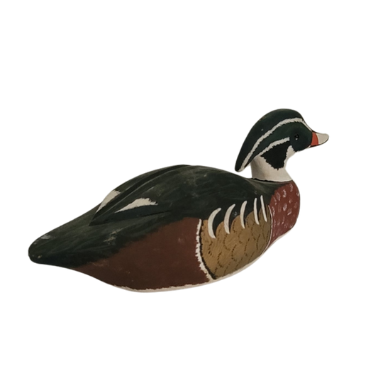 Canard vert et rouge