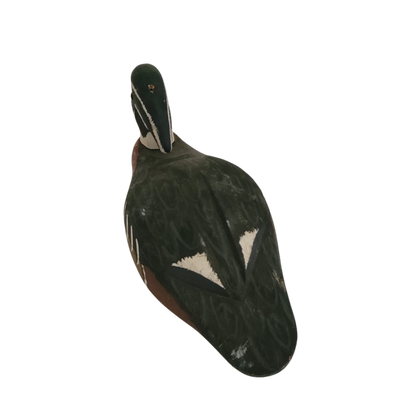 Canard vert et rouge